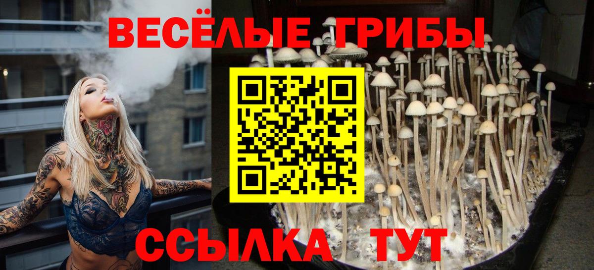Сухой Лог  Галлюциногенные грибы ЛСД  Псилоцибиновые грибы Magic Shrooms  Вход с VPN 