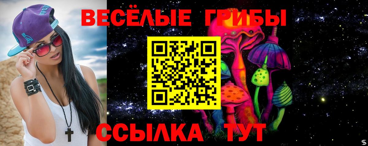 Псилоцибиновые грибы Cubensis Сухой Лог
